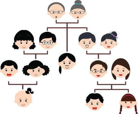 Family history (genetics)