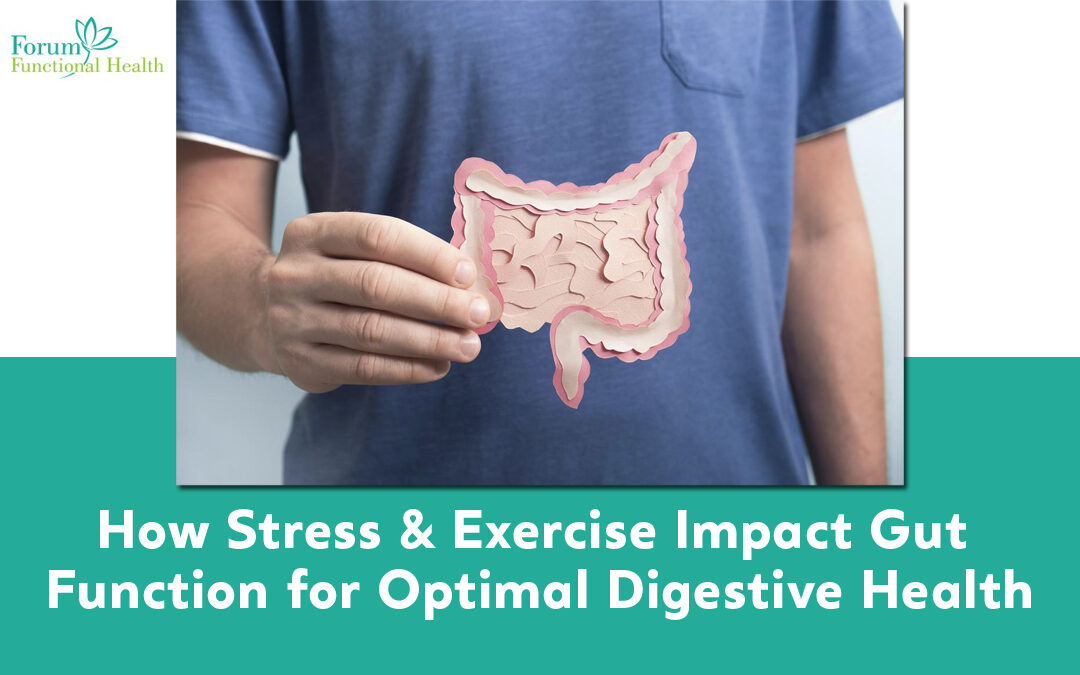 How Stress & Exercise Impact Gut Function for Optimal Digestive Health