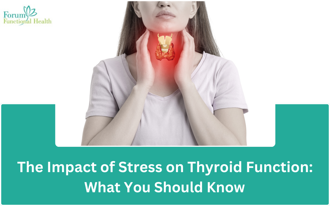 The Impact of Stress on Thyroid Function: What You Should Know